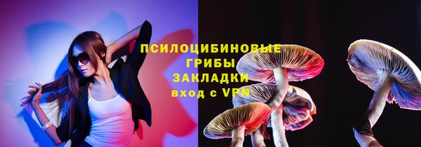 стафф Алзамай