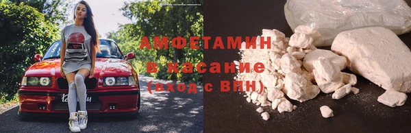 стафф Алзамай